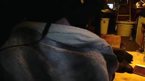 tinkertrain420 online show from 2, 12, 2024