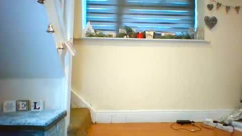 Snapshot of tinyasian911718 chatting on 18, 12, 2024 Tinyasian911718 sweetinyasian instagram online show from 18, 12, 2024