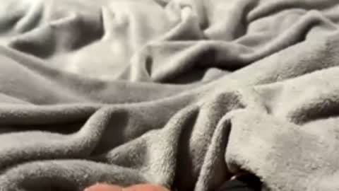 Snapshot of tmue chatting on 27, 2, 2026 tmue online show from 27, 2, 2026