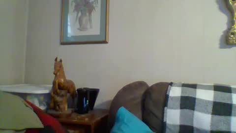 Vols online show from 12, 11, 2025