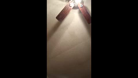 Vols online show from 17, 12, 2025