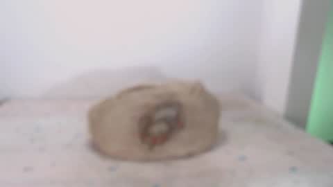 David online show from 7, 2, 2025