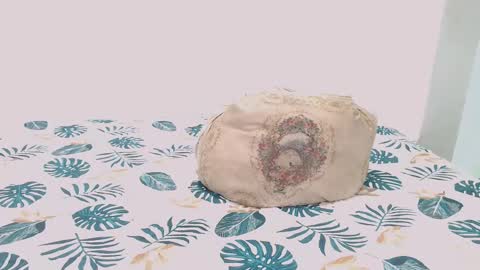 David online show from 9, 2, 2025