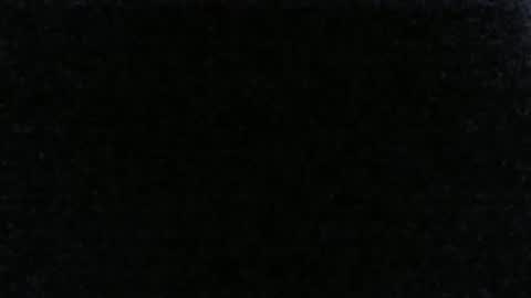 Snapshot of tofubucket chatting on 2, 2, 2025 tofubucket online show from 2, 2, 2025