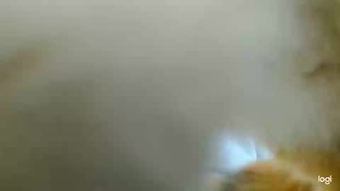 Blue online show from 24, 2, 2025