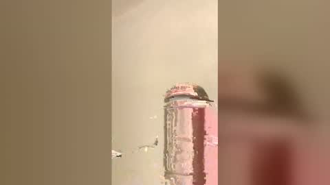 Snapshot of tommygun4969 chatting on 5, 2, 2026 tommygun4969 online show from 5, 2, 2026