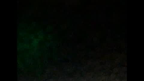 tonyd online show from 4, 1, 2025