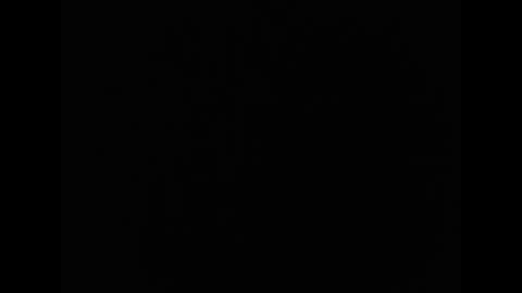 Snapshot of tonymasswt chatting on 3, 3, 2026 tony online show from 3, 3, 2026