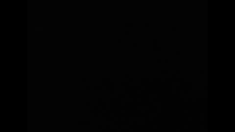 tony online show from 7, 4, 2026