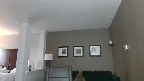 Snapshot of toomuchsmoke chatting on 6, 2, 2025 toomuchsmoke online show from 6, 2, 2025