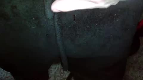 Topg84 online show from 15, 12, 2024