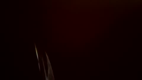 toronto5656 online show from 24, 2, 2025