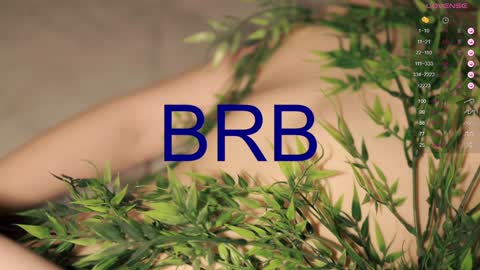 Toshi online show from 11, 12, 2024