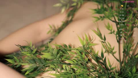 Toshi online show from 21, 9, 2025