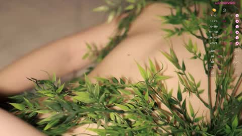 Toshi online show from 13, 10, 2025