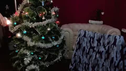   online show from 28, 12, 2024