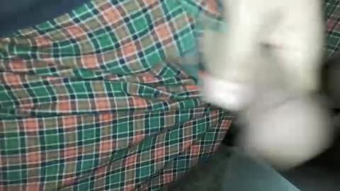 Daddy Edgalot online show from 14, 1, 2025