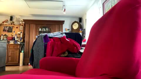 Snapshot of trebgeis1 chatting on 18, 2, 2025 trebgeis1 online show from 18, 2, 2025