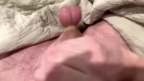 Snapshot of tree553 chatting on 13, 1, 2025 tree553 online show from 13, 1, 2025