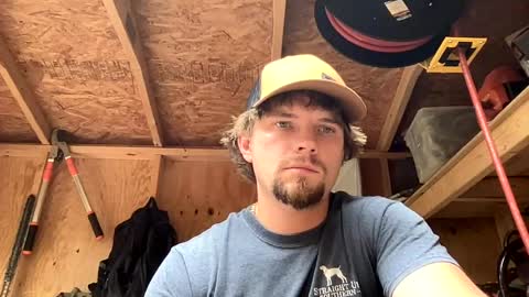 treeman817 online show from 11, 6, 2026