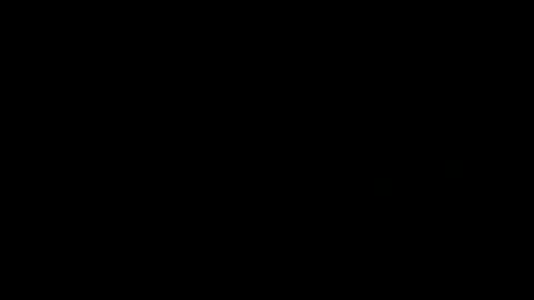 Snapshot of treimann chatting on 12, 12, 2024 Thorcci online show from 12, 12, 2024