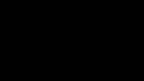 Snapshot of treimann chatting on 21, 1, 2025 Thorcci online show from 21, 1, 2025