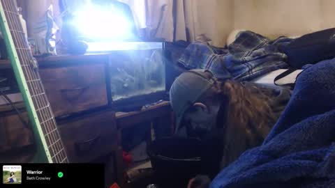 trooper0690 online show from 12, 2, 2026