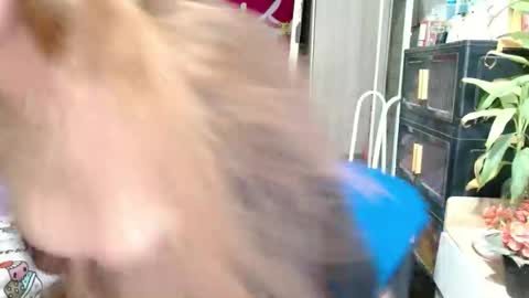 SHENA  online show from 13, 2, 2026