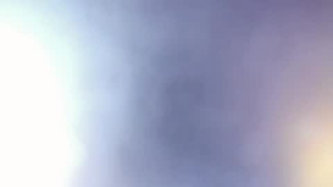   Stella Hanlon    - - online show from 4, 3, 2026