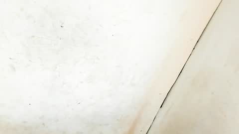 MA NI KA online show from 11, 1, 2025