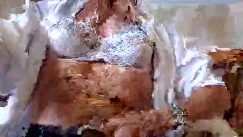 Snapshot of tubaist chatting on 9, 9, 2025 FINN but call me NANNA online show from 9, 9, 2025