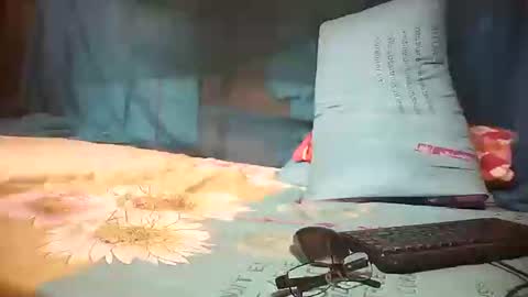 Mae online show from 28, 1, 2025