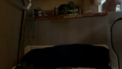 Tuhands online show from 9, 1, 2025