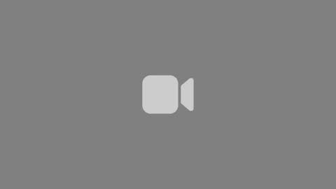 tumbafox1 online show from 12, 5, 2026