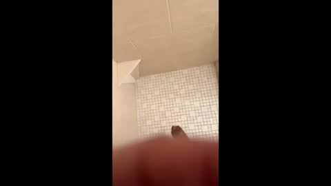 turbo706 online show from 12, 3, 2026