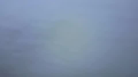 Ariana online show from 9, 1, 2026