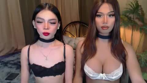 Snapshot of twinktransshanel chatting on 6, 10, 2025 twinktransshanel online show from 6, 10, 2025