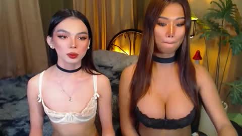 Snapshot of twinktransshanel chatting on 8, 10, 2025 twinktransshanel online show from 8, 10, 2025