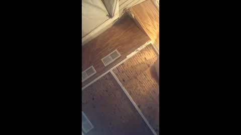 twistercouple3371 online show from 10, 3, 2026