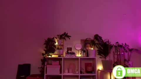 Stranger online show from 28, 12, 2024