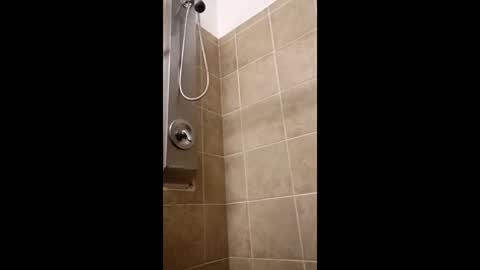 Matt online show from 12, 1, 2026