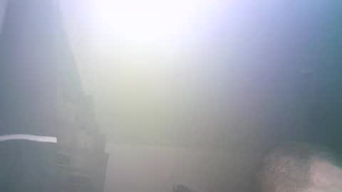 tybursex666 online show from 26, 9, 2025