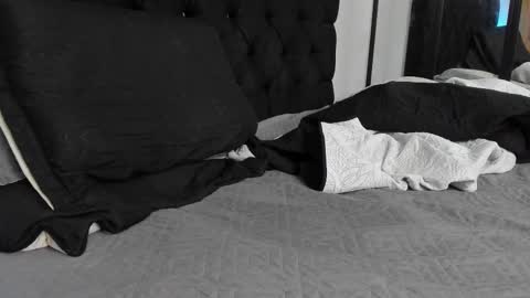 tyler_hank1 online show from 6, 3, 2026