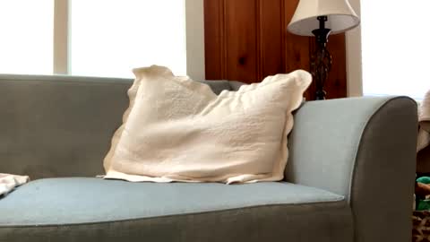 Tyler Sands online show from 2, 3, 2025