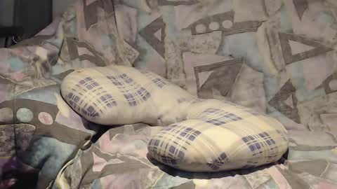 Helena and Tyson online show from 9, 11, 2025