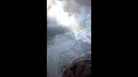 Snapshot of tyvizex chatting on 19, 1, 2026 Tyvizex online show from 19, 1, 2026