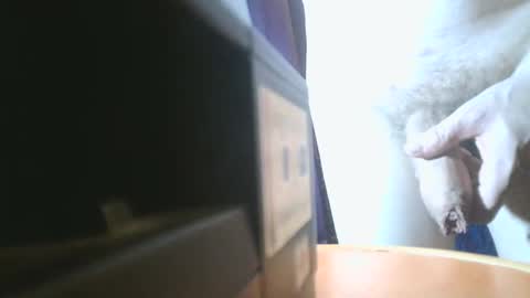 u02g2 online show from 21, 12, 2024