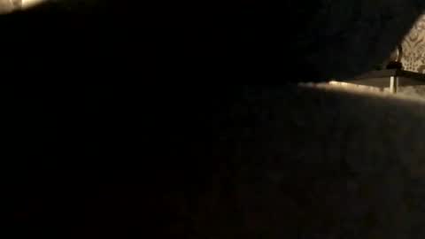 ukcock699196923 online show from 2, 11, 2025