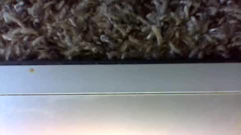 Snapshot of uncut_papi1989 chatting on 24, 1, 2025 tele kuzhbuzh online show from 24, 1, 2025