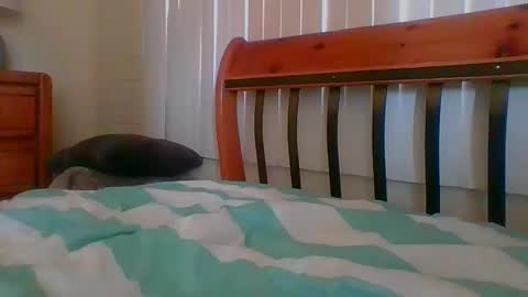 Unique online show from 30, 1, 2025